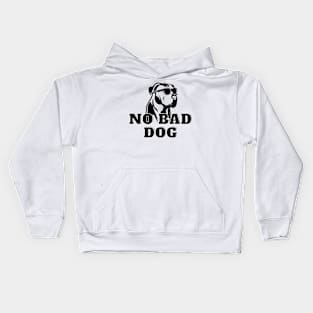 No Bad Dog Designs Pitbull Edition, gift for dog owners, animal lovers Kids Hoodie